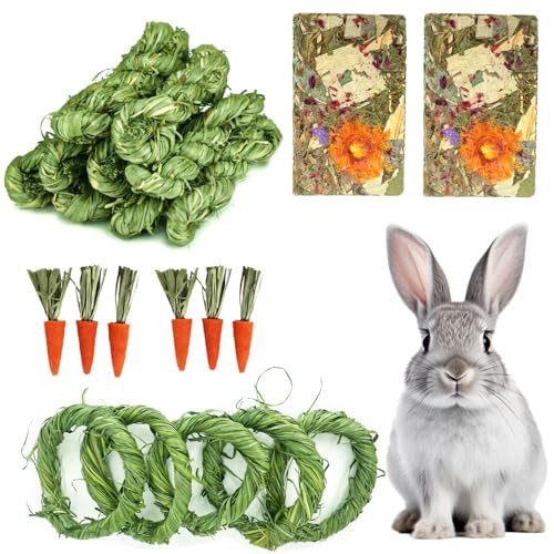 AOTLEE 28PCS Rabbit Toys Guinea Pig Toys，Timothy Hay Chew Sticks for Teeth，Rabbit Treats Boredom Breaker Accessories for Chinchillas, Guinea Pigs, Hamsters, Rats，Bunny Teeth Care (Green)
