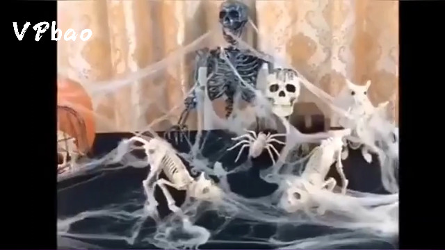 Amazon.co.jp: VPbao 1000平方フィー蜘蛛の巣 約200g ハロウィン