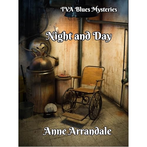Night and Day Audiolibro Por Anne Arrandale arte de portada