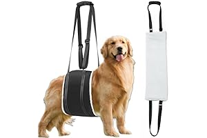 Dog Support Sling for Walking Assistance: A Comprehensive Solution for Large Canines