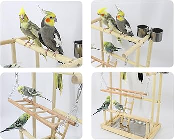Amazon | 鳥の遊び場 止まり木 バードスタンド 天然木材 鳥 小鳥 文鳥
