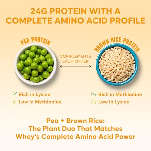 Image of Foodstrong Gut Friendly Plant Protein - Mango | 24g Complete Plant Protein with Probiotics, Digestive Enzymes, Prebiotics & Indian Herbs | Vegan | No Sugar | 500g