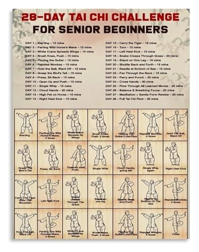 Tai Chi Practice Guide Martial Arts Flow Chart Canvas Art Poster for Wellness Home Decor(Unframed,16x24inch(40x60cm))