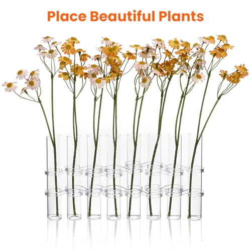 Vase hydroponique transparent Cabilock 15x2,2 cm pour plantes - 5