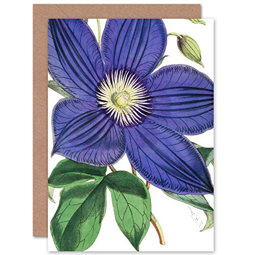 Artery8 - Greeting Card - Big Purple Clematis Flower - Blue
