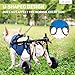 Pet Wheelchair for Leg Support Helps Senior， Wheelchair for Back Legs，Adjustable Pet Cart，Assist a paralyzed pet get Back on its feet，Support Leg Brace and Hip(Small)