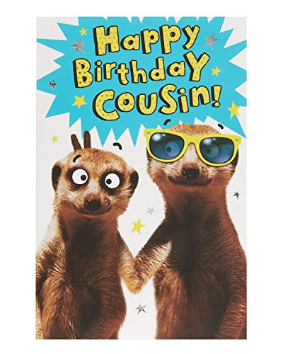 UK Greetings | Birthday Card for Cousin | Funny Meerkat Design