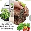 Herb & Salad Seed Pods for All Hydroponics Growing Systems, 8 Pods with 600+ Seeds of Basil, Spinach, Romaine, Red Cherry Tomato, Italian Parsley and Bell Pepper #3