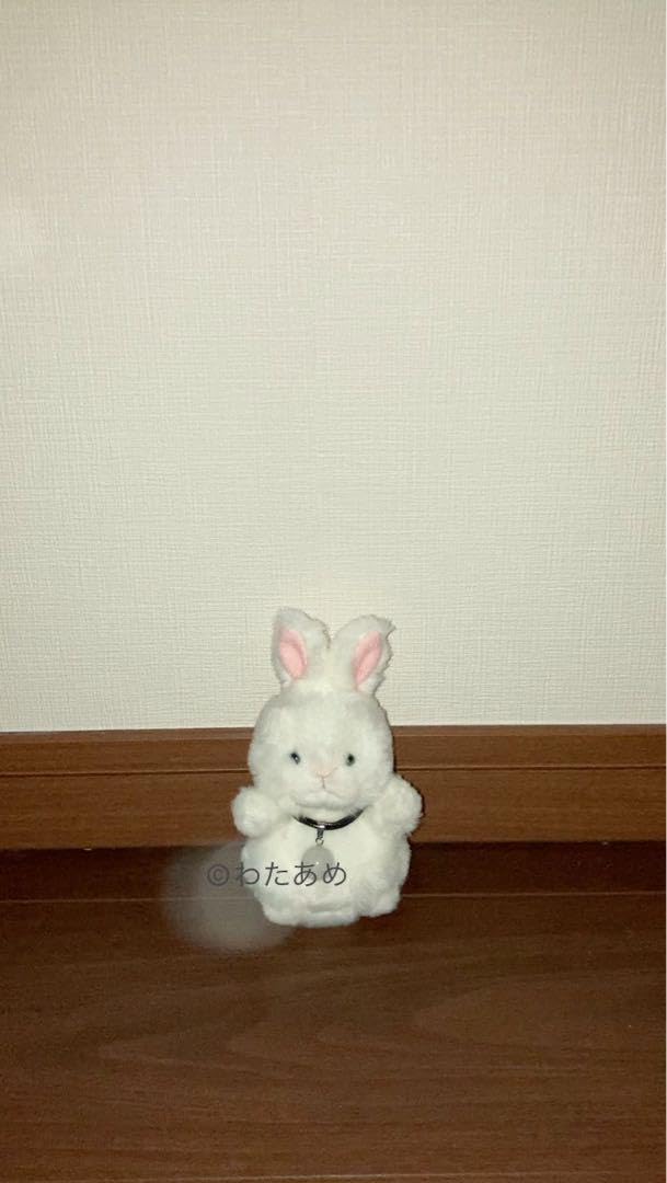 Amazon.co.jp: 座敷わらしの御霊が宿るうさぎのぬいぐるみ 座敷