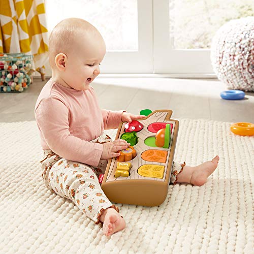 Fisher-Price Animaizinhos Esconde Esconde Atividades Surpresa, Mattel