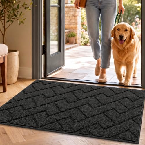 Biscpro Tapis de Porte Paillasson d'Entree 50x80cm Antidérapant et Absorbant, Lavable pour Intérieur, Extérieur, Chambre, Cuisine, Entrée, Couloir-Dark Gray