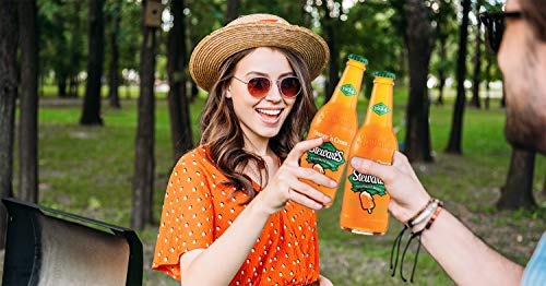 Stewart's Orange & Cream Soda, 12 Fl Oz (24 Glass Bottles) #TOP6