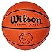 Microfono Wilson Pallone da basket
