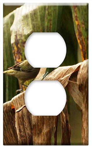 Tapa de salida de placa interruptor - Nature Quimbaya Quindio Colombia 1