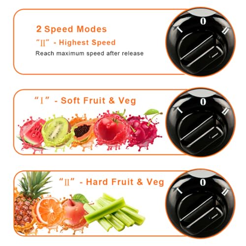 Juicer Machine, 800W Centrifugal Juicer Extractor with Wide Mouth 3” Feed Chute for Fruit Vegetable, Easy to Clean, Stainless Steel,