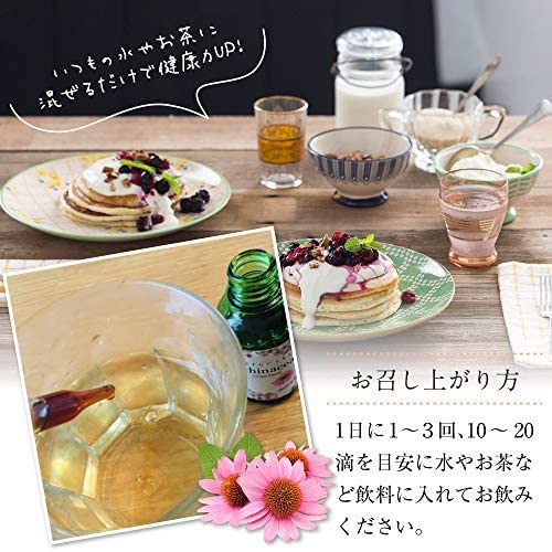 自然美健 エキナセア 健康力ハーブ 濃縮エキス