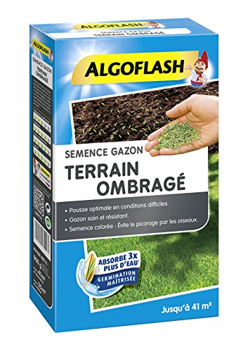 ALGOFLASH Semence Gazon Terrain Ombragé, 900g, SEMTO1, Bleu