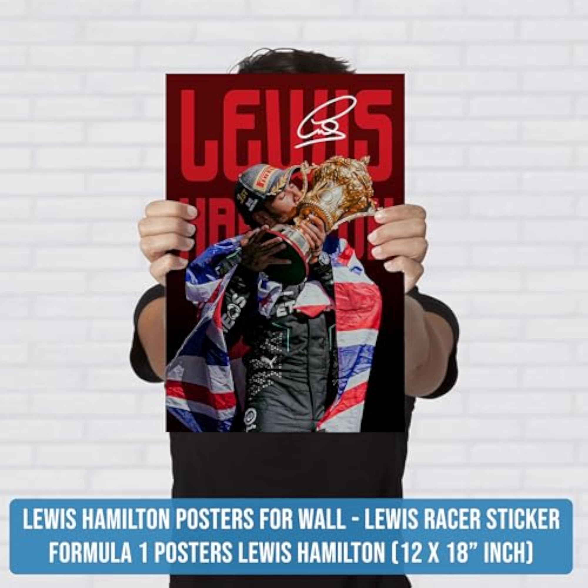 Lewis Hamilton Poster for Home Decor