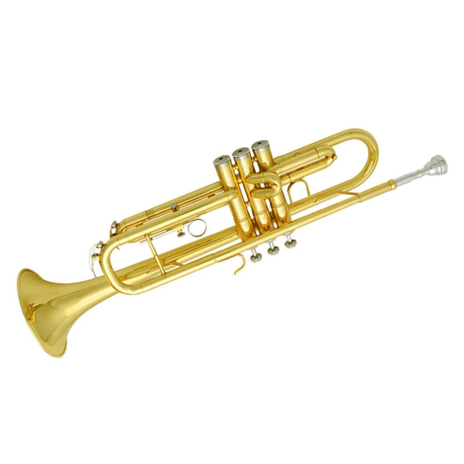 Adult Trumpet Trompette en si bémol pour débutant