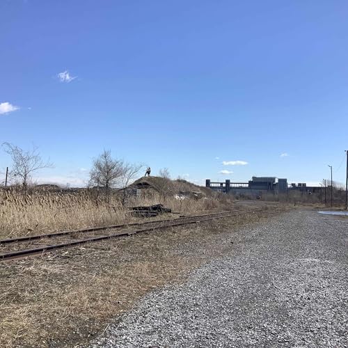 Terrain de Ray Mont Logistics