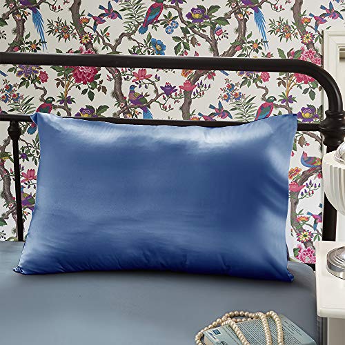 OLESILK Taie d'oreiller en Soie Naturelle Cover