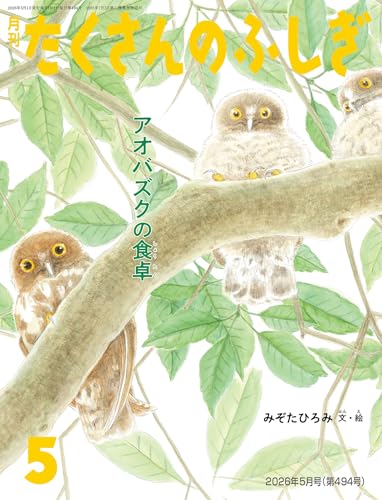 アオバズクの食卓(たくさんのふしぎ2026年5月号)