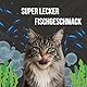 Taurin 300 g Fischgeschmack für Katzen und Hunde – Pulverformat – mit Vitaminen und Mineralien | Gesundheit des Herzens, des Sehens und des Immunsystems | hohe Schmackhaftigkeit
