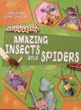  Amazing Insects and Spiders (Amazing Life Cycles)