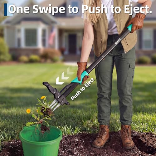 Garvee 40" Long Handle Stand Up Weed Puller - 4-Claw with Ejector Gardening Hand Weeding Tool Easy-Eject Easily Remove Weeds Without Bending, Pulling, or Kneeling. by Garvee - Image 3