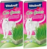 Vitakraft Katzen Gras Set, Cat Grass, 1x 120g (Packung mit 2)
