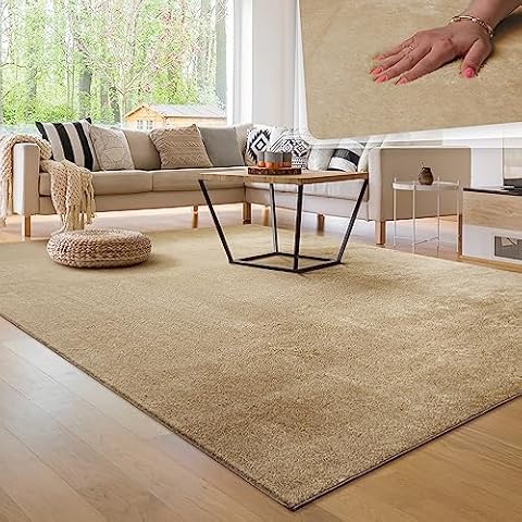 Tapis Beige Paco Home Cover