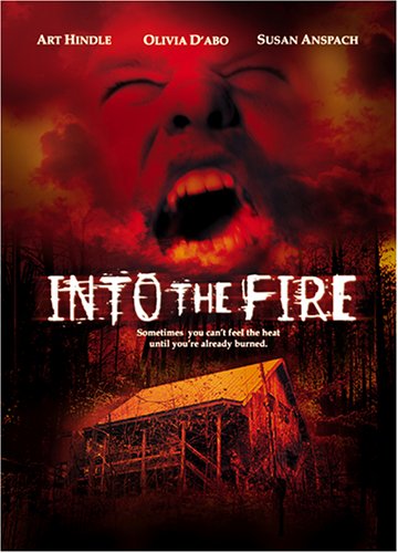 Into the Fire [DVD]