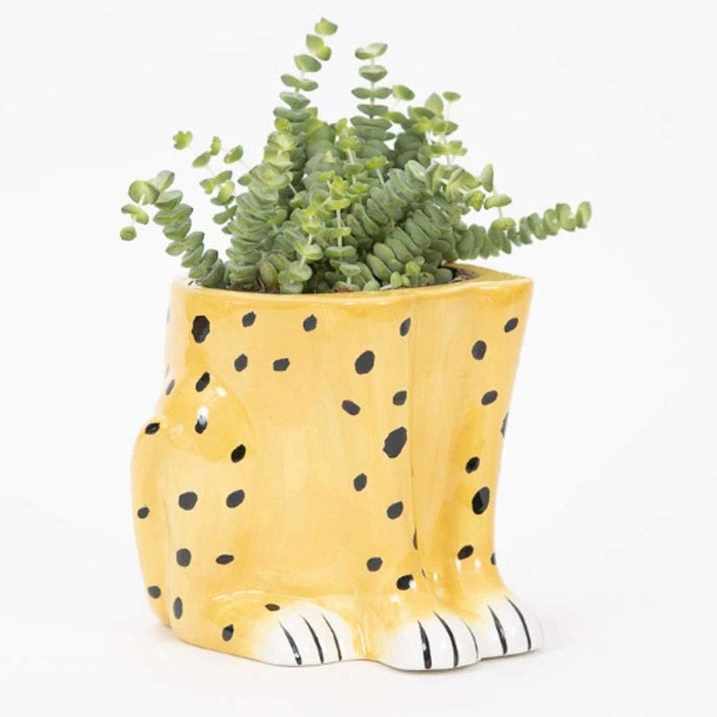 Watering Can Ceramic Watering Pot Outdoor Indoor Watering Cans for House Plants Watering Spout Indoor Flower Watering Pot (Color : Flower Pot+Watering can A)