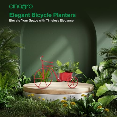 Image of CINAGRO Cycle Shaped Metal Plant Stand for Indoor & Outdoor Use, Decorative Planter Pot for Flowers & Ornaments, Stylish Metal Cycle Design, Living Room & Home Garden Decor, Style: Pedal Paradise