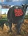 blink-182 - Dude Ranch