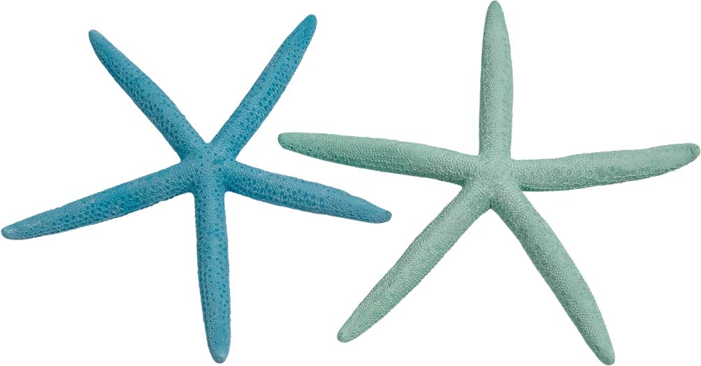 The Seashell Company Dyed Pastel Finger Starfish, 4-6 inch, Set of 10
