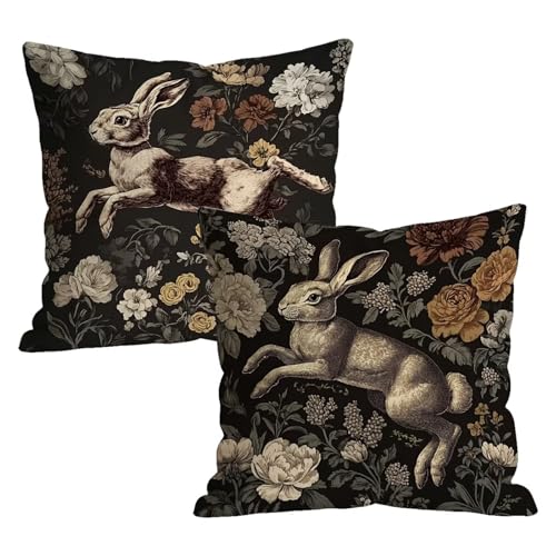 �N�b�V�����J�o�[ 2���Z�b�g 65x65cm �� ������ �p�^�[�� ���z�c�J�o�[ �x���x�b�g ���� ��������񂩂΁[ �V���v�� �B���t�@�X�i�[ �_�炩�� �\�t�@�w���� ���ʈ���f�U�C�� �ƒ둕�� �� �w���� ���� �l�G�ʗp t9n-36