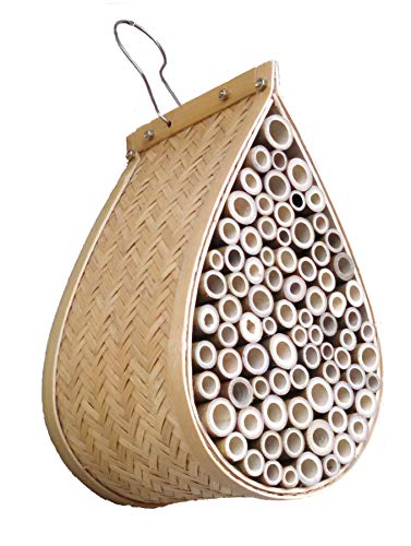 Hanging Bee Nester Solitary Bees and Insect Hotel