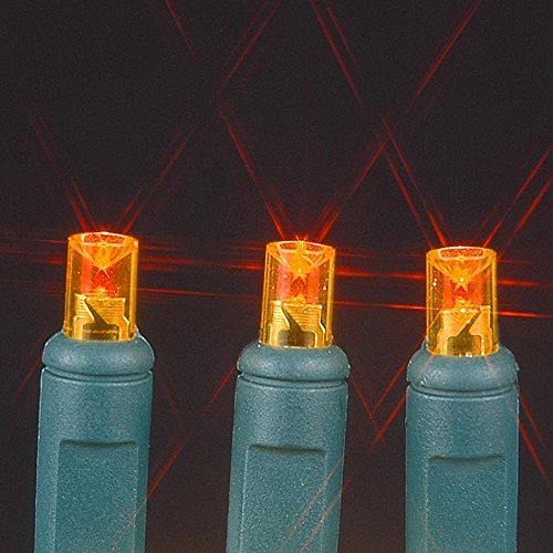 Novelty Lights 50 Light Led Christmas Mini Light Set, Outdoor Lighting Party Patio String Lights, Amber, Green Wire, 11 Feet #TOP3