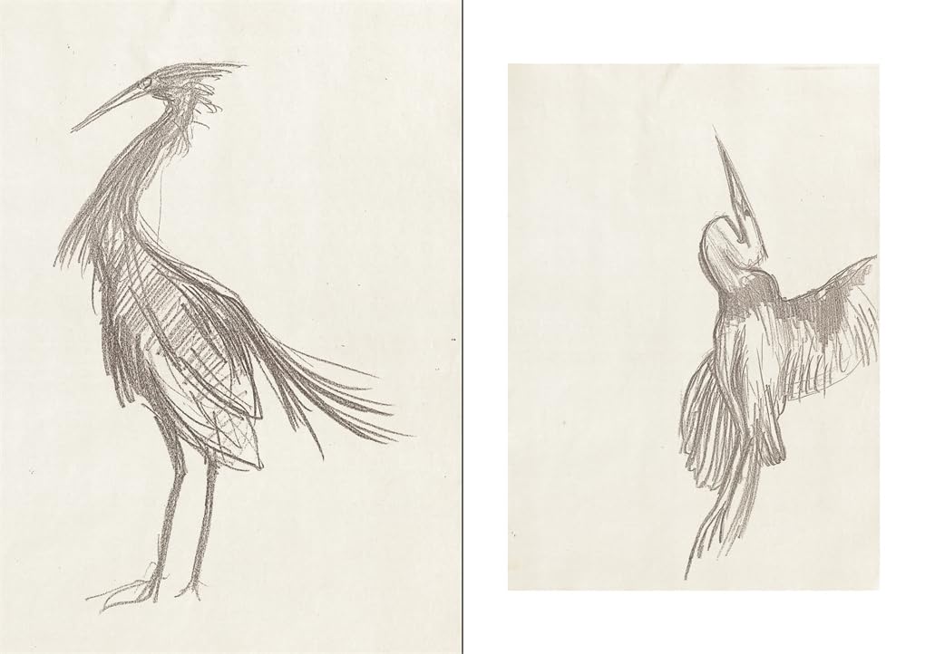 Yohji Yamamoto Drawings