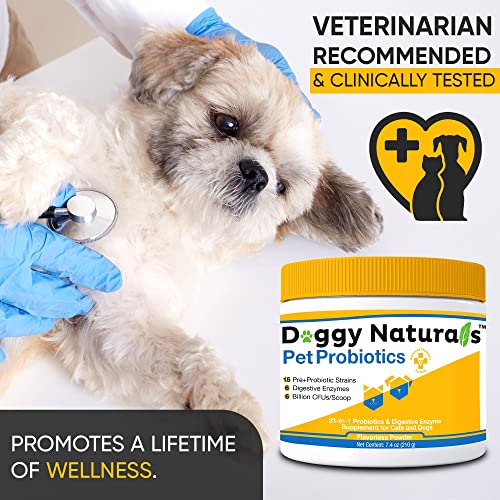 Probiotics For Dogs And Cats - Advanced Max-Strength Digestive Health, Increase & Maintain Proper Gut Flora- All Natural Probiotics Powder - (Made In Usa) (Powder 6 Billion Cfu, 7.4 Oz) #TOP5