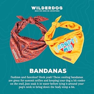 Wilderdog Dog Bandana with Lightweight Quick Drying Poly Blend Mesh Material in Evergreen