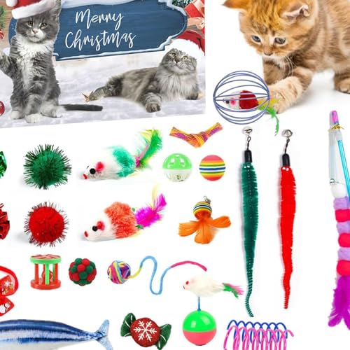 pets cat advent calendar