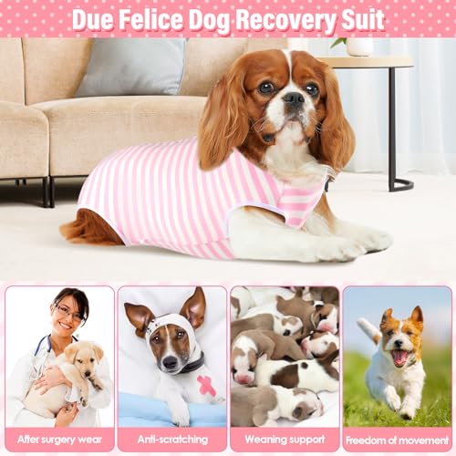 Due Felice Dog Surgery Suit Female Spay Recovery Suit for Small Dogs Surgical Suits 2 Packs After Spayed Neuter Body Suits by Due Felice - Used condition - Image 6