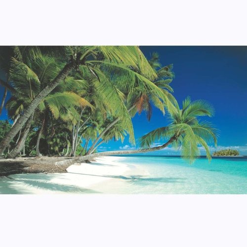 BIGGIESWindow Well Scenes Wall Art- Beach, 60" x 100"