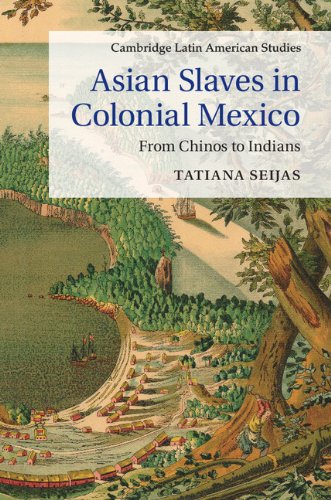 Asian Slaves in Colonial Mexico: From Chinos to Indians (Cambridge Latin American Studies Book 100)