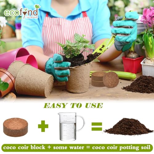 Image of ecofynd Cocopeat Coin, Coir Disc for Potting Soil Mix, Seedling & Plant Starter (10MM, Pack of 10)
