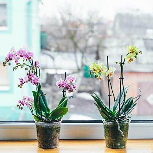 PHUNAT Clear Orchid Pot, 12PCS 4.5'' Transparent Plastic Plant Pots with Drainage Holes, Orchid Flower Pot Seedlings Pots Seed Pots Flower Plant Container
