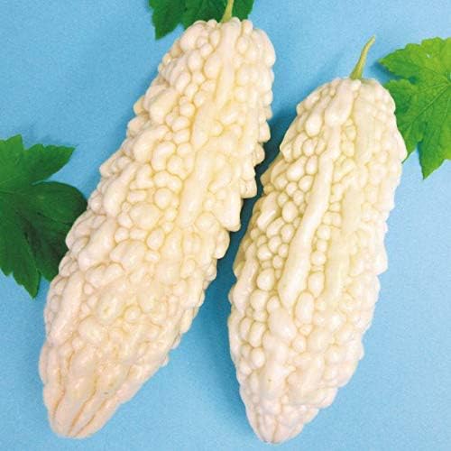 Amazon 国華園 種 野菜たね ゴーヤ 沖縄白ゴーヤ 1袋 8ml 21年春商品 野菜