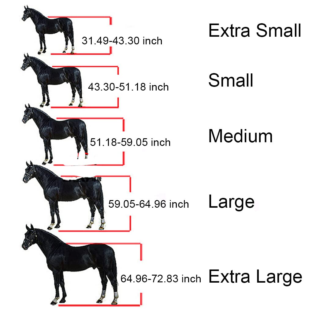 Capezza imbottita Pony Bridle Head Collar Regolabile in lega di zinco Equipaggiamento protettivo Indossare facilmente Forniture per cavalli Solidità, Blu, XL